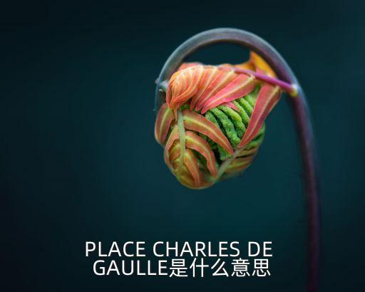 戴高樂廣場，PLACE CHARLES DE GAULLE是什么意思