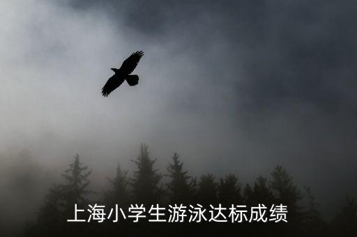 上海小學(xué)生游泳達(dá)標(biāo)成績(jī)