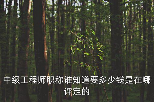 中級(jí)工程師職稱誰(shuí)知道要多少錢是在哪評(píng)定的