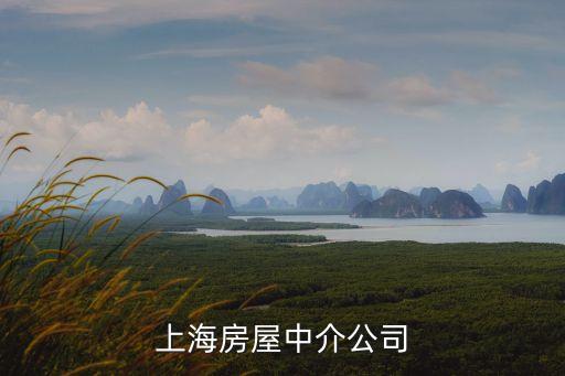 上海房屋中介公司