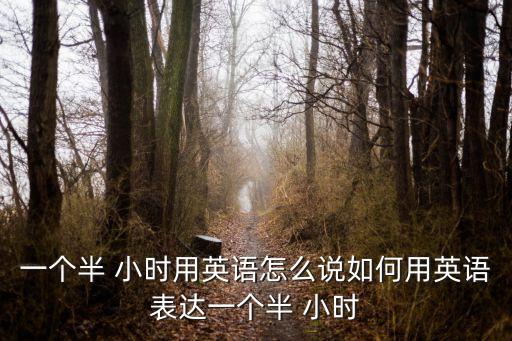 半小時英文,學(xué)中文一個半小時