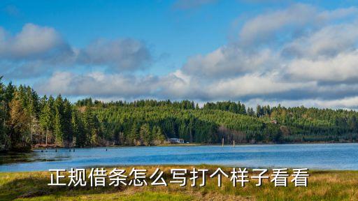 正規(guī)借條怎么寫打個樣子看看