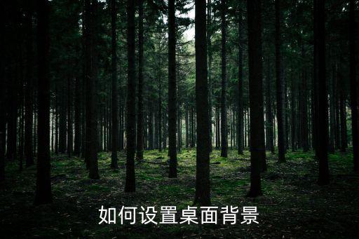 如何設(shè)置桌面背景