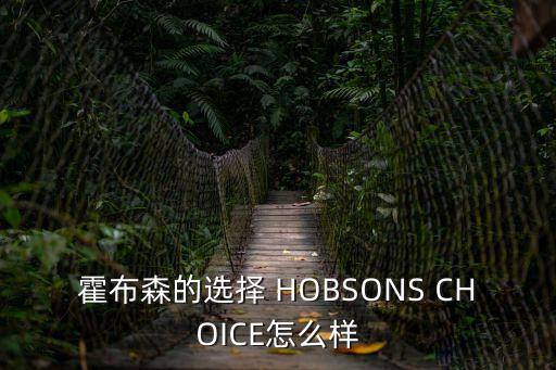 霍布森的選擇 HOBSONS CHOICE怎么樣