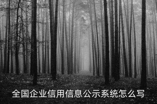 全國企業信用信息公示系統怎么寫