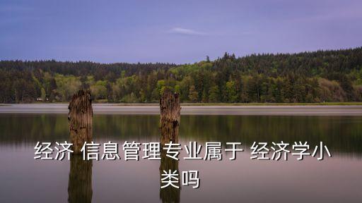  經濟 信息管理專業屬于 經濟學小類嗎