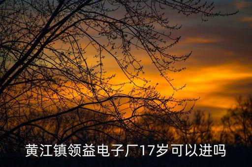 東莞黃江領益廠做什么，黃江鎮領益電子廠17歲可以進嗎