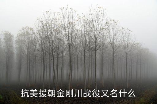 抗美援朝戰役，在朝鮮有哪些著名戰役