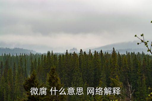 微腐 什么意思 網絡解釋