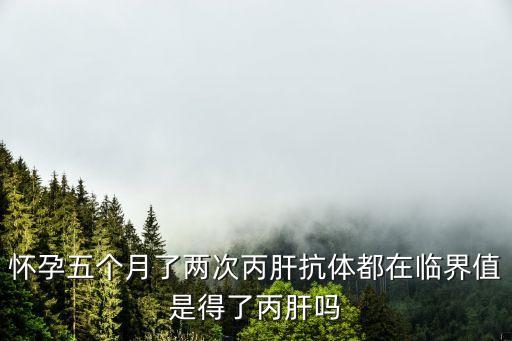 劉鐵夫 上海市公共衛生臨床中心，支氣管鏡查出抗酸桿菌是否能確診為肺結核