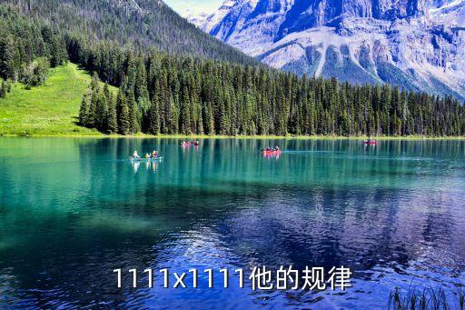 1111x1111他的規(guī)律