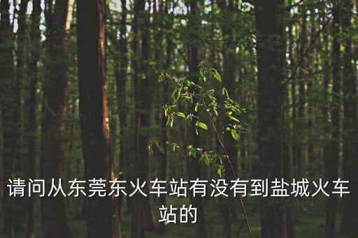 請(qǐng)問從東莞東火車站有沒有到鹽城火車站的
