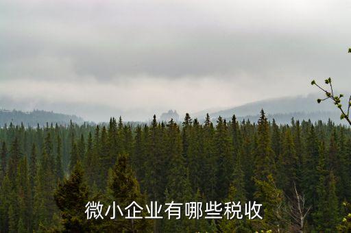 小微企業(yè)增值稅，小微企業(yè)增值稅是什么