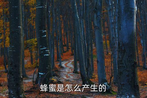 蜂蜜的，蜂蜜是怎么產(chǎn)生的