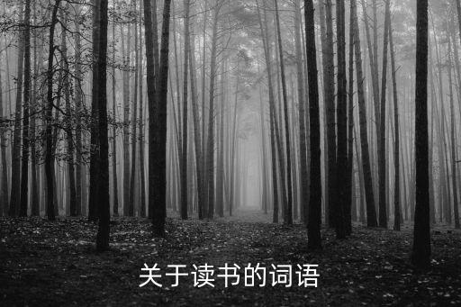 讀書的詞語，關于讀書的詞語