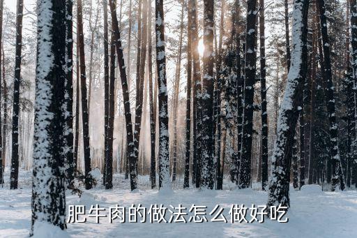 肥牛怎么做好吃，肥牛肉怎么弄才好吃