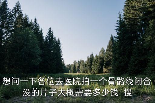 想問一下各位去醫(yī)院拍一個骨骼線閉合沒的片子大概需要多少錢  搜