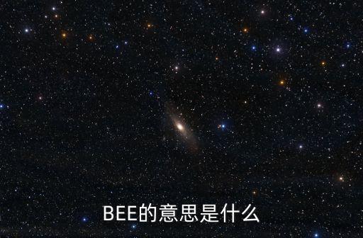 BEE的意思是什么