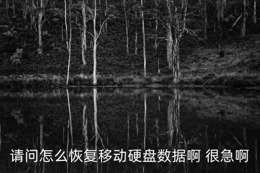 請問怎么恢復移動硬盤數(shù)據(jù)啊 很急啊