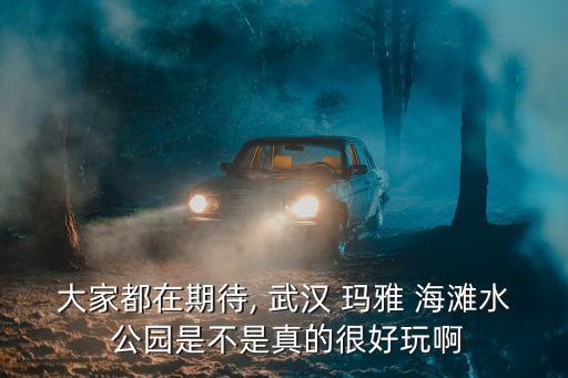武漢瑪雅海灘水公園,武漢瑪雅海灘水公園成人票160160元