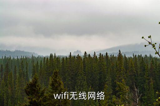 wifi無(wú)線網(wǎng)絡(luò)