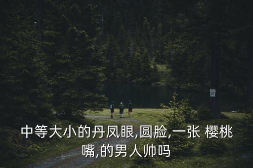 櫻桃嘴與大鼻子,蔡少君和林青霞的整容秘訣