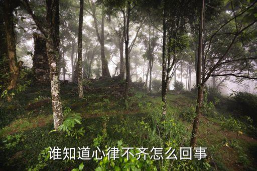 誰(shuí)知道心律不齊怎么回事
