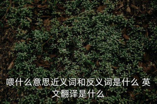 喂的英文,食物放進嘴里?你的圍巾要掉了嗎?