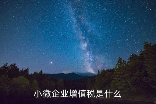 小微企業(yè)增值稅是什么