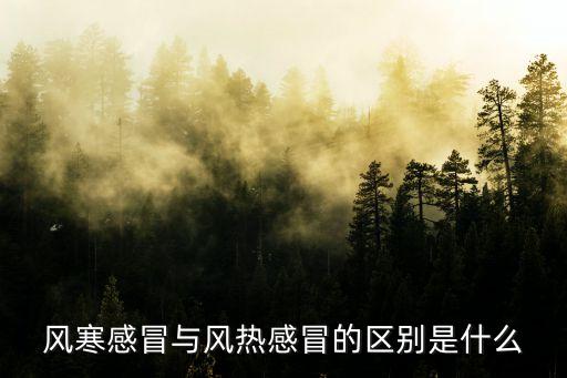 風寒感冒與風熱感冒的區(qū)別是什么