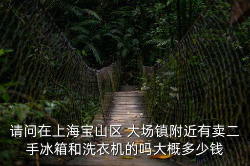 請問在上海寶山區 大場鎮附近有賣二手冰箱和洗衣機的嗎大概多少錢