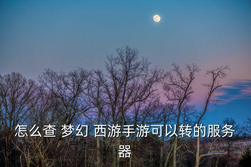 怎么查 夢幻 西游手游可以轉的服務器