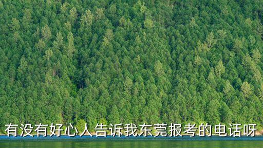 有沒有好心人告訴我東莞報考的電話呀