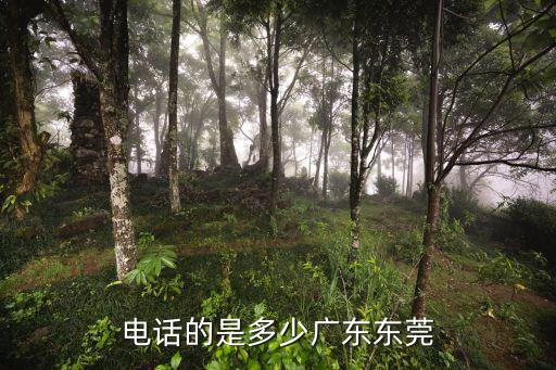 電話的是多少?gòu)V東東莞