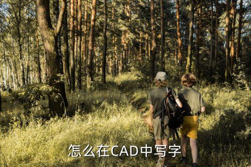 怎么在CAD中寫字