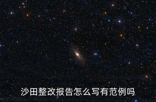 沙田整改報(bào)告怎么寫有范例嗎