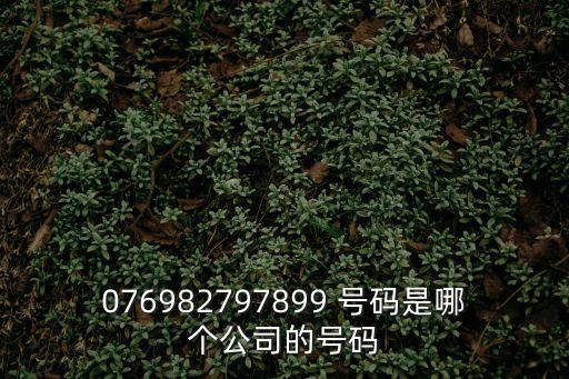 076982797899 號碼是哪個公司的號碼