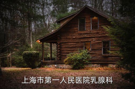 上海市第一人民醫(yī)院乳腺科