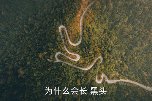 為什么會(huì)長(zhǎng) 黑頭
