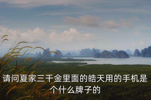 請問夏家三千金里面的皓天用的手機是個什么牌子的