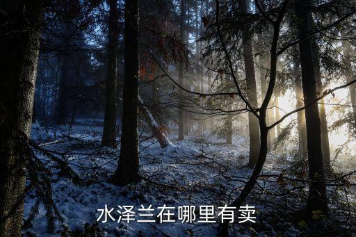 水澤蘭在哪里有賣