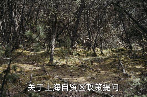 關于上海自貿區政策提問