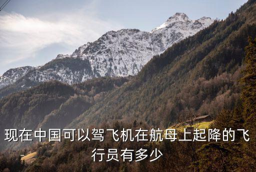 航母飛行員，我們有沒有擁有真正航母起降經驗的飛行員