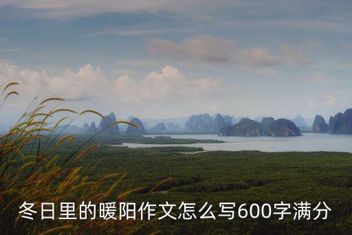 冬日里的暖陽作文怎么寫600字滿分