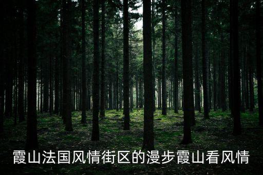 霞山法國(guó)風(fēng)情街區(qū)的漫步霞山看風(fēng)情