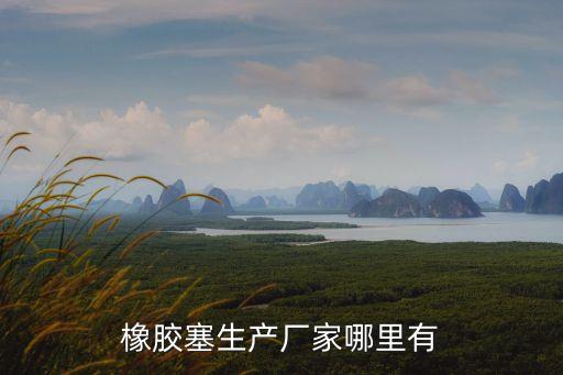 東莞盛達(dá)橡塑制品公司，橡膠塞生產(chǎn)廠家哪里有