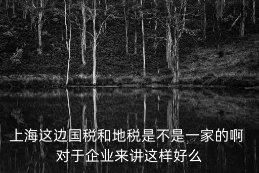 稅務分家時有上海市國稅局嗎，上海這邊國稅和地稅是不是一家的啊 對于企業來講這樣好么