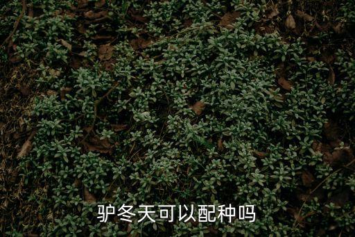 毛驢配種，驢一般交配多長時間