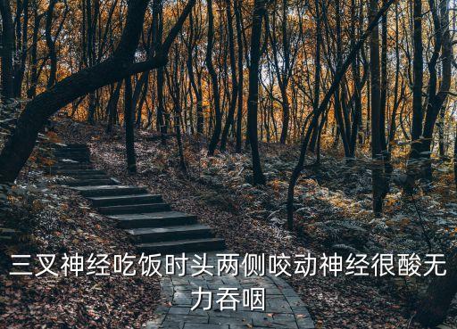 三叉神經吃飯時頭兩側咬動神經很酸無力吞咽