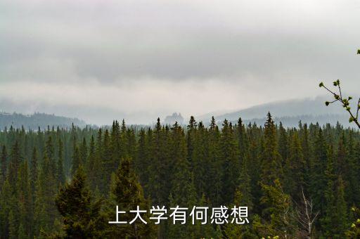 大學讀后感，李開復寫給大學生大學四年應該這樣度過讀后感 一千字 求大神們幫